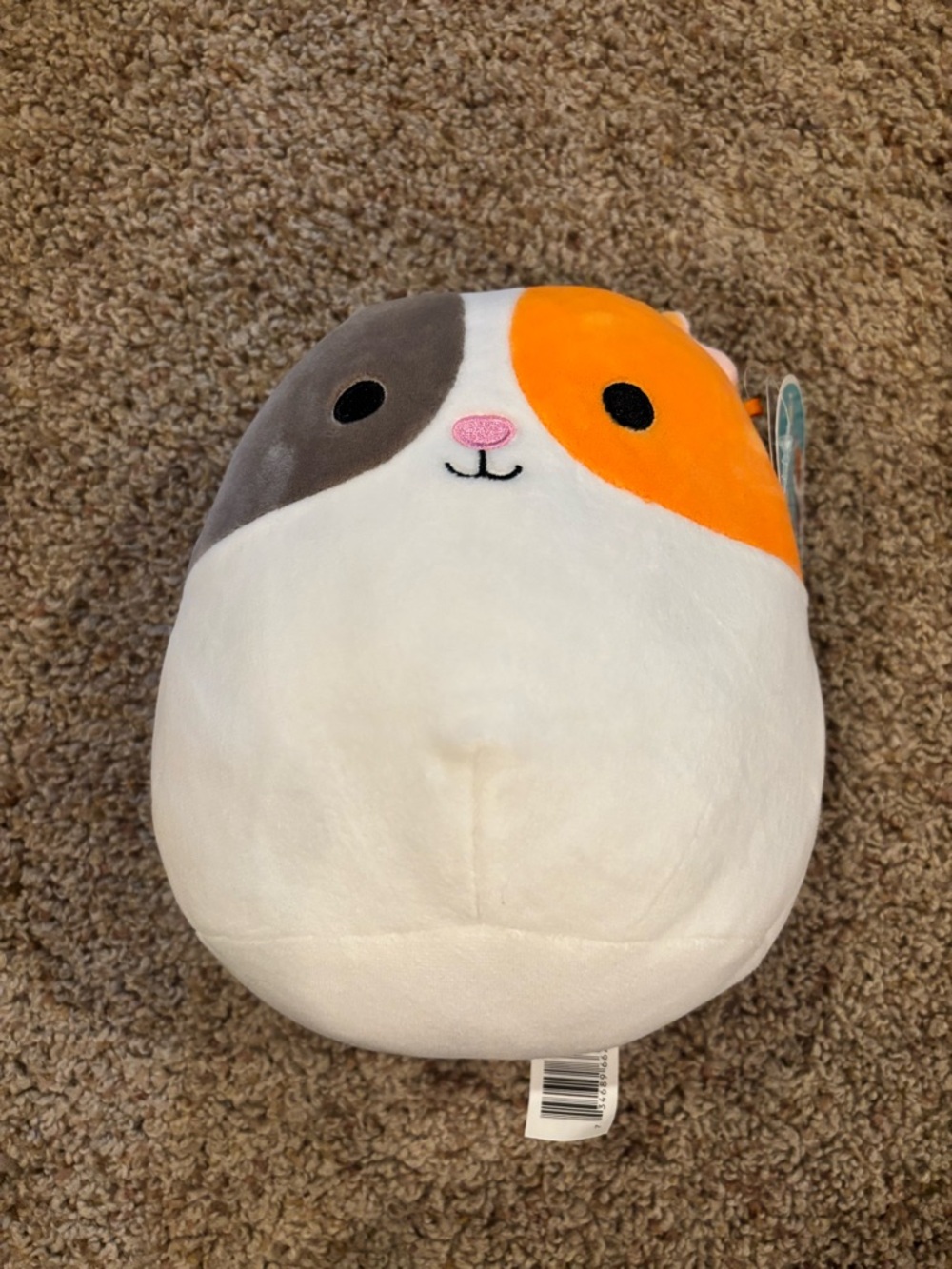 8 in Everett the Mouse Squishmallow NWT